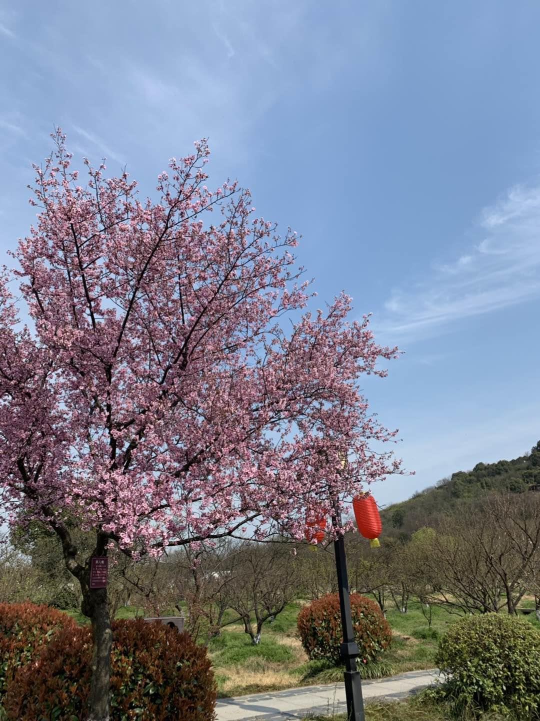 29d10849238ffa2bc8e89084a8a8d89